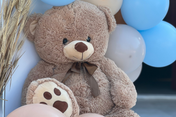 Στολισμός βάπτισης για αγόρι με μπαλόνια και αρκουδάκια